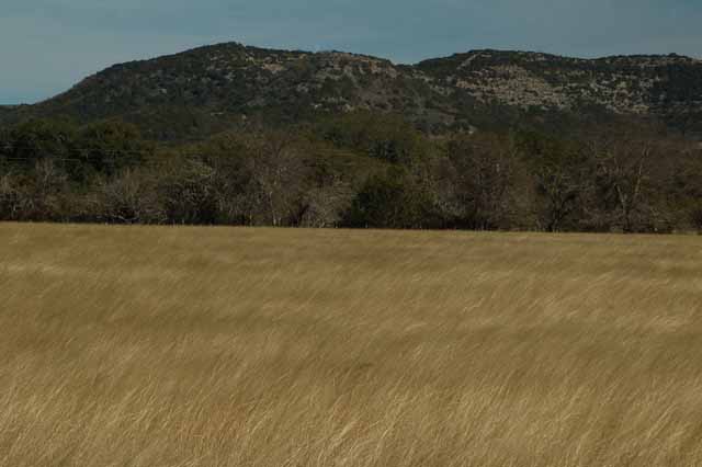 wheat fields on Highway 835 toward Leaky